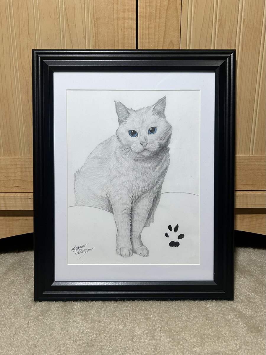 IamDORKeegan tweet media