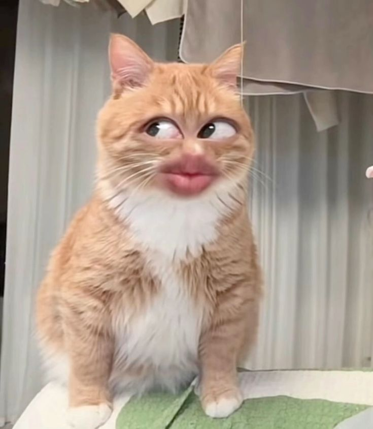 Mxnyfaces's tweet photo. // OOOOHHHHHHHHHHHH https://t.co/XoLvuek6Ff