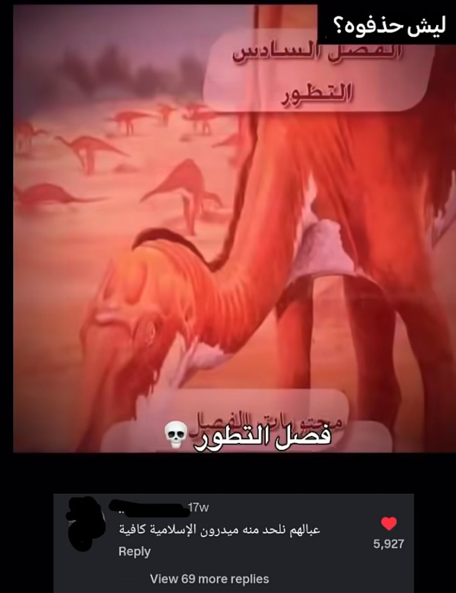 المرحومة سينب (@zyn0sh) on Twitter photo 