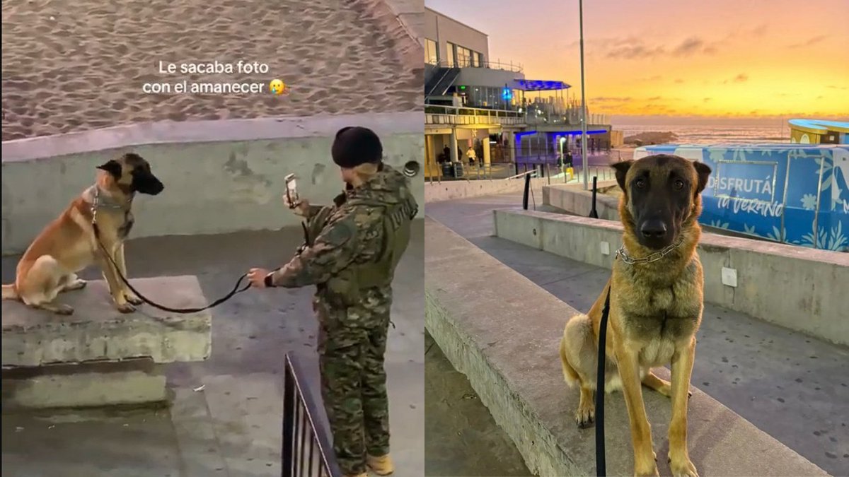 24_morelos's tweet image. MILITAR FOTOGRAFÍA A SU PERRO CON EL AMANECER DE FONDO

A propósito de que hoy 21 de enero es el Día Mundial del #Perro de Trabajo, te dejamos una imagen que demuestra el amor y respeto hacia nuestros compañeros de vida.

Este momento fue captado en el momento exacto en que un
