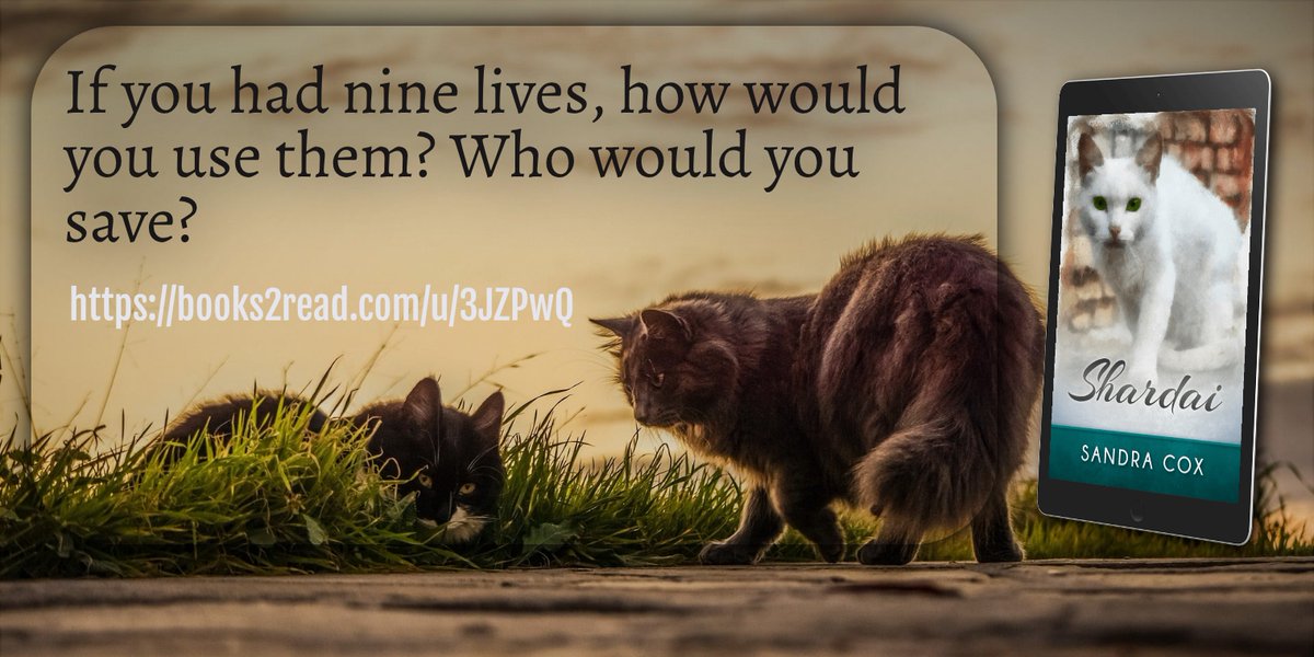 Sandra Cox tweet media