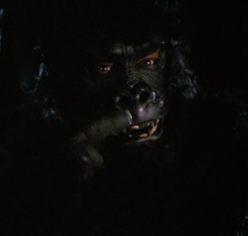 pondoscp's tweet photo. The Party Animal (1984), the movie that quite literally gave birth to Pondo.
https://t.co/V3lD00Mxcs #thepartyanimal #baddayatblackrock
@MakingPondo
Buzzsprout: https://t.co/Mwr2VQPwqF
Subscribe to our YouTube channel: https://t.co/UoGYLs6z9Q
Spotify: https://t.co/igsrAszQQj https://t.co/4GN65qdwOd