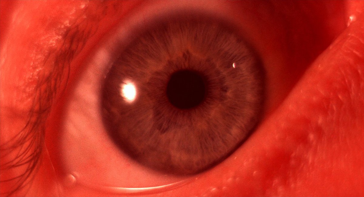 Tenebre (1982) dir. Dario Argento