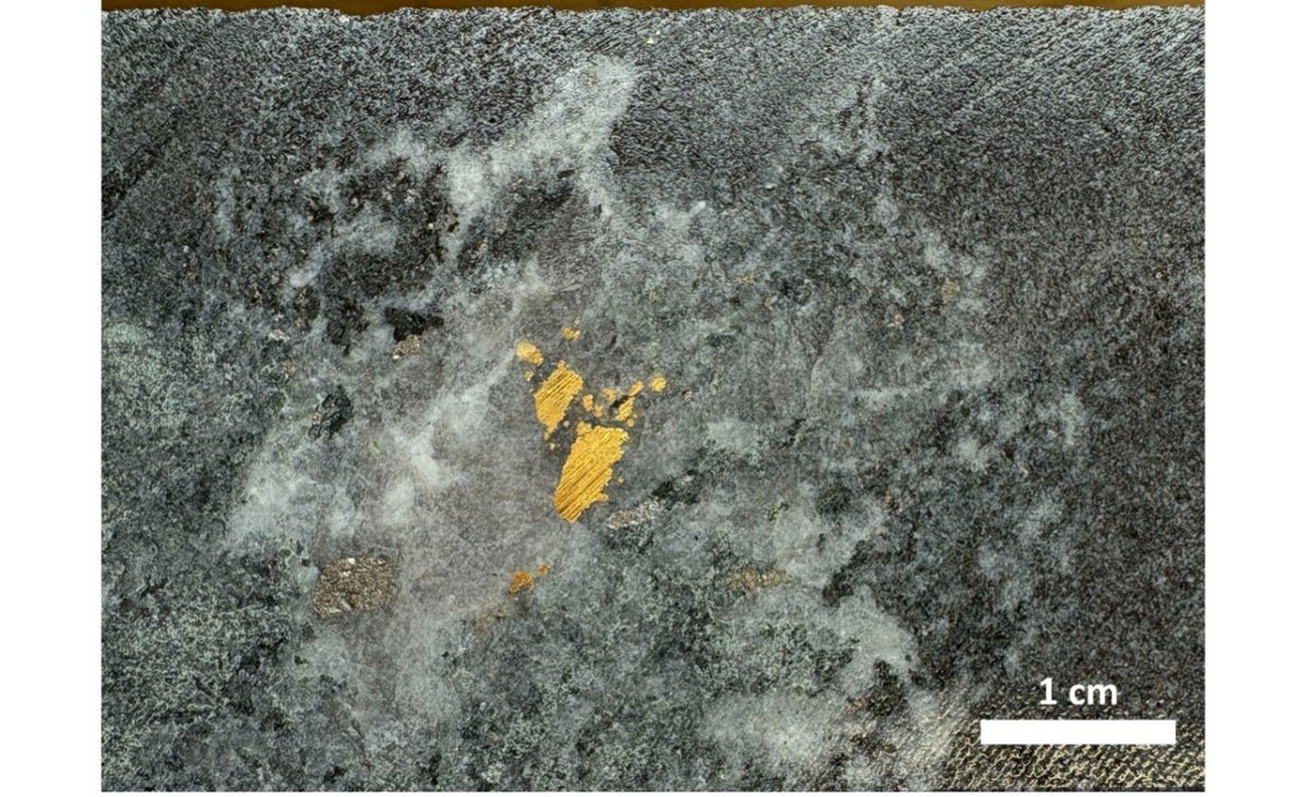 Kenorland Minerals Ltd. tweet media