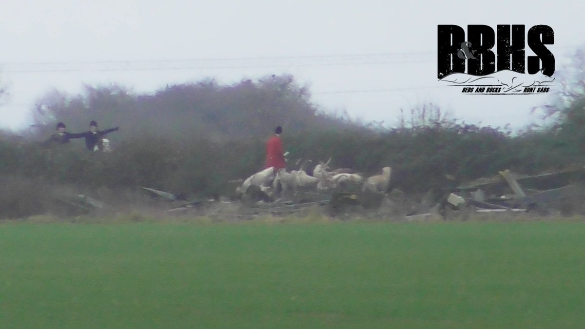 Criminal Fitzwilliam bolt a fox.
shorturl.at/Cg9Db