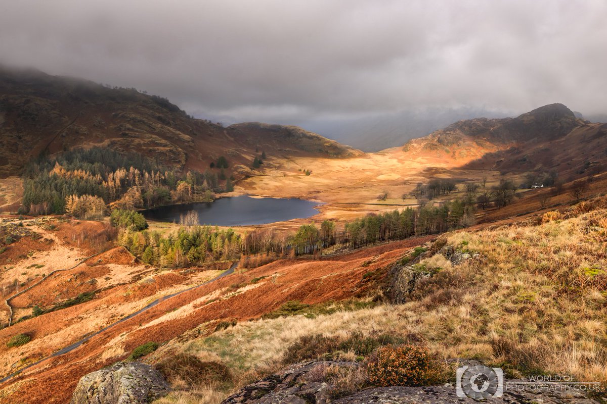 Valley Of Light

Blea Tarn, Lake District, Cumbria, UK

#lakedistrict #bleatarn #sunrise #canon #cumbria #thelakes