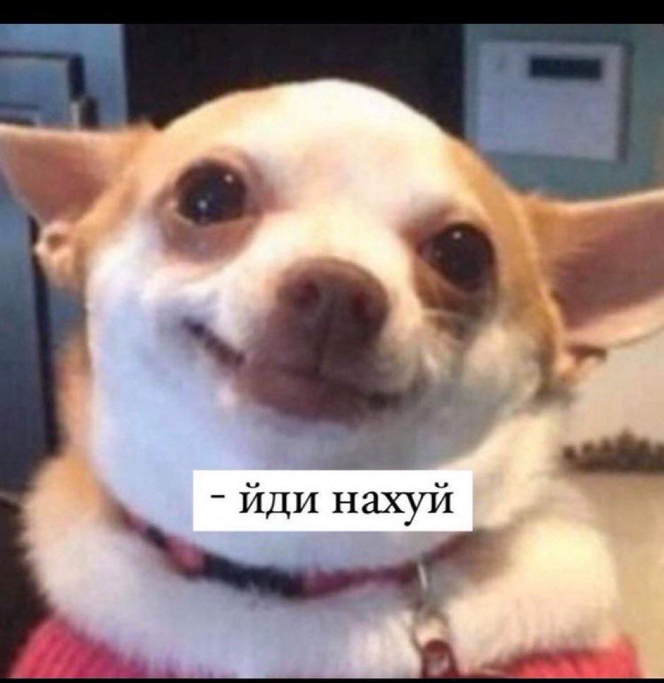 Ірина tweet media