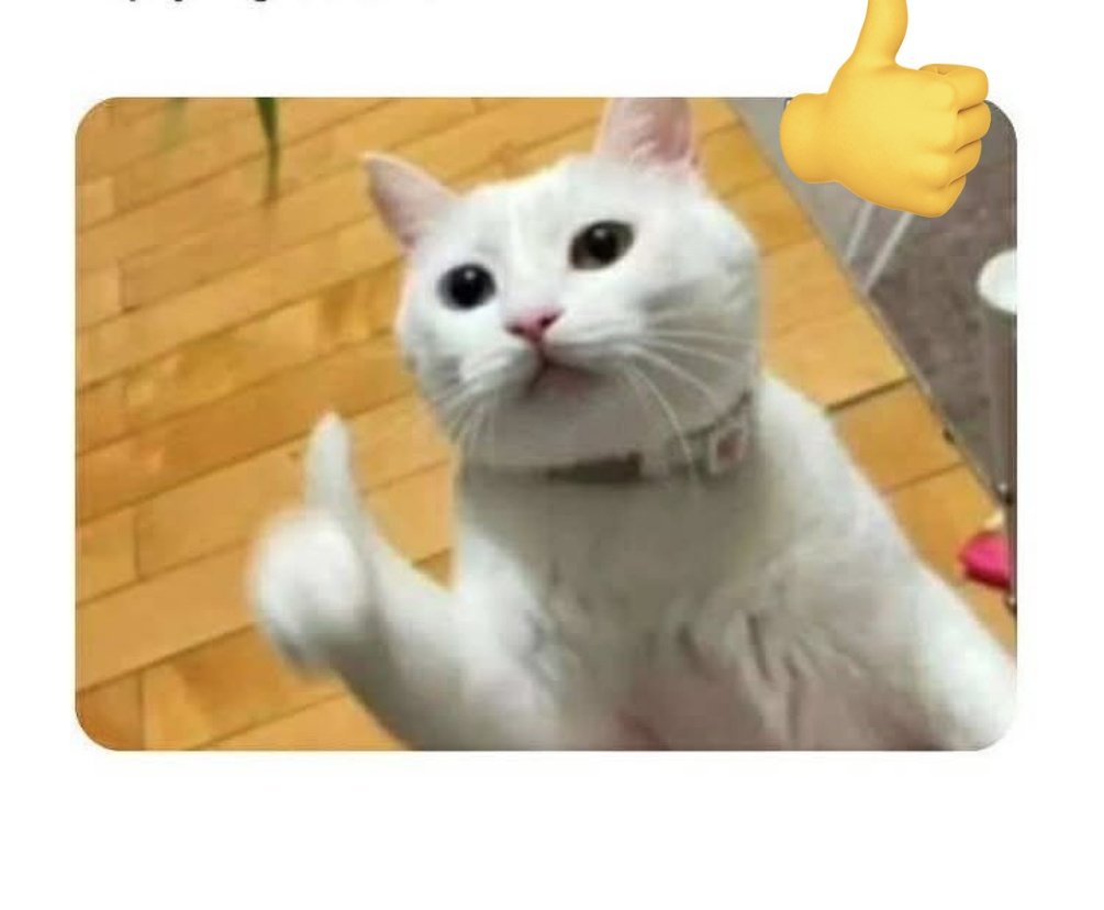 Follow and gain followers
.
Say Hi 👍 in comment 
.
Support and be supported.