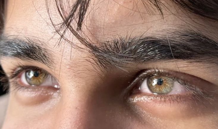 헤이즐색 눈동자 가진 사람들 눈동자부심 ㄹㅈㄷ라길래 찾아봤는데 그럴만하네… 제임스 포터도 아내만큼이나 끝내주는 눈을 가졌었구나