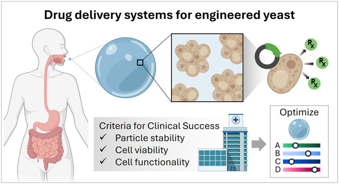 Pharmacoengineering & Mol Pharmaceutics (DPMP UNC) tweet media