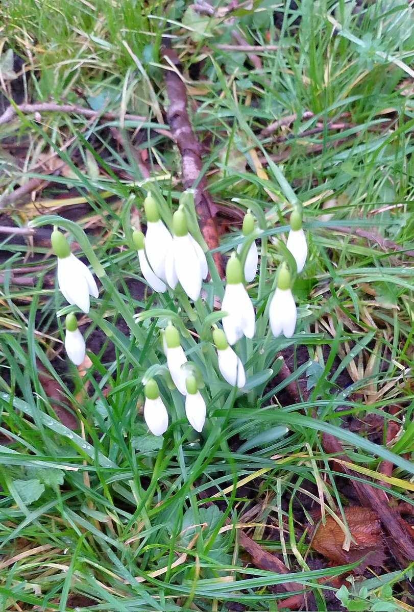 L22 Seafront Gardens tweet media