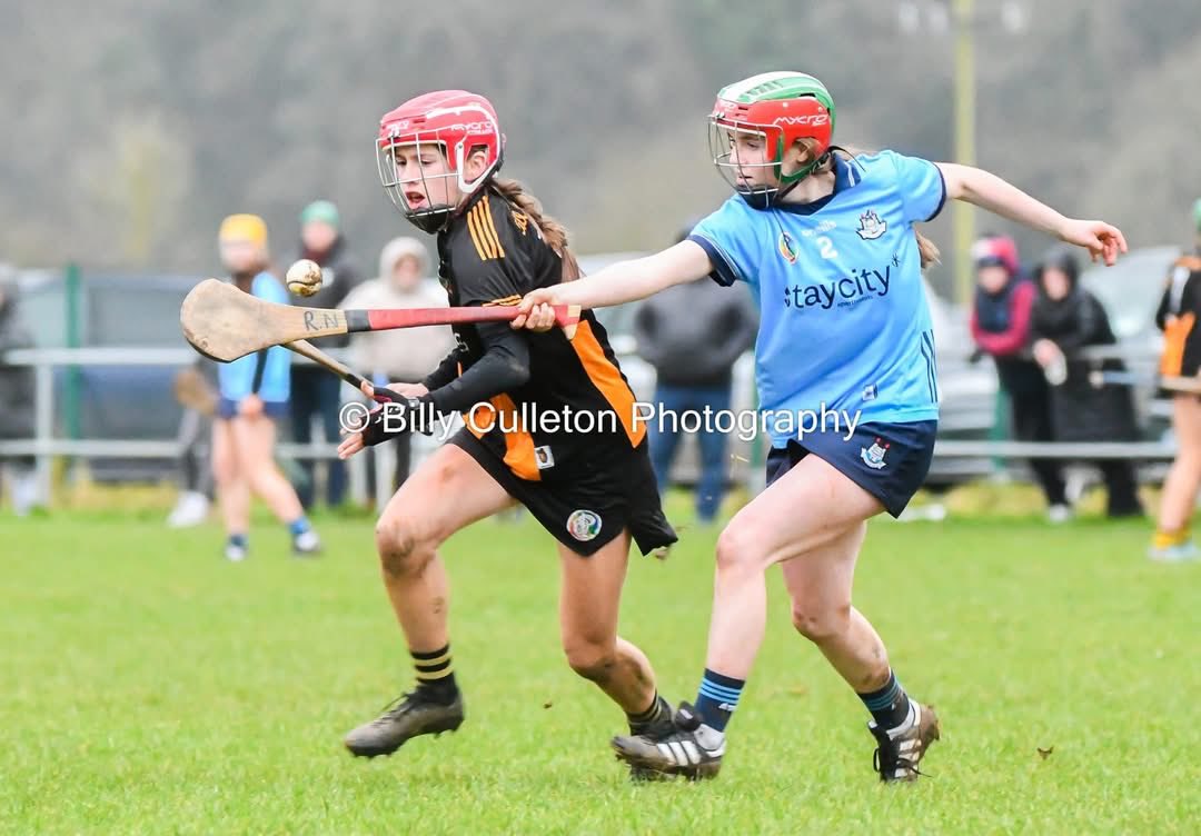 Friends of Dublin Hurling & Camogie tweet media