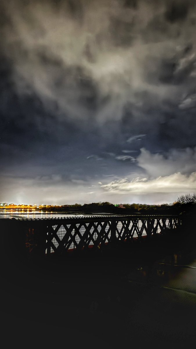 Dave Johnston 🚶🦮📸 tweet media