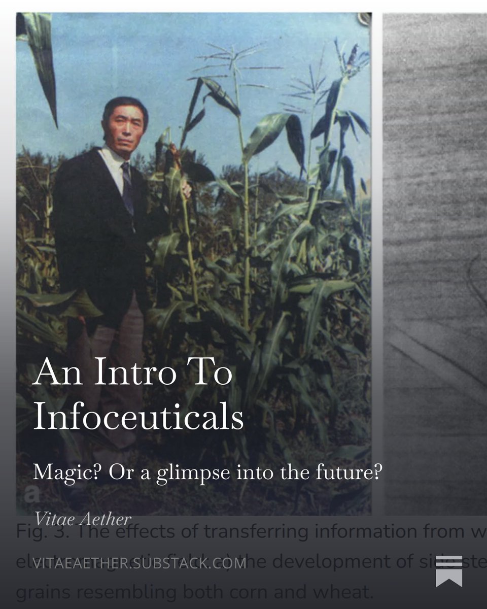 CO2 + T3 + B1 tweet media