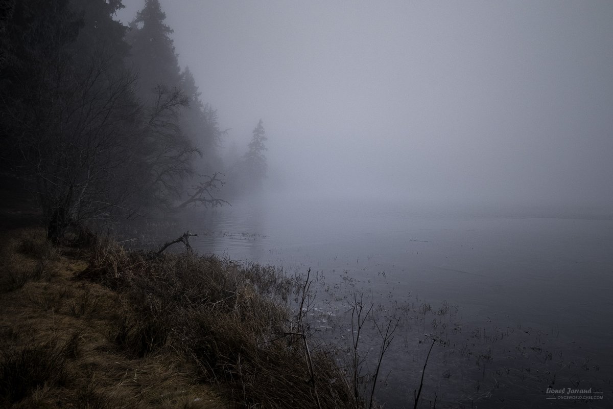 onceworld_'s tweet photo. Roches Tuilière et Sanadoire, Lac de Servières, Col de la Croix Morand #sancy , le 30/12/25 #auvergne #landscapephotography #MyAuvergne @sancy_auvergne @AuvergneAuCoeur
#BaladeSympa @Auvergne #MagnifiqueFrance @parcvolcans @AuvergneMarque @AuvergneDest
@myphotozine @otsancy https://t.co/4uHJhTpxP5