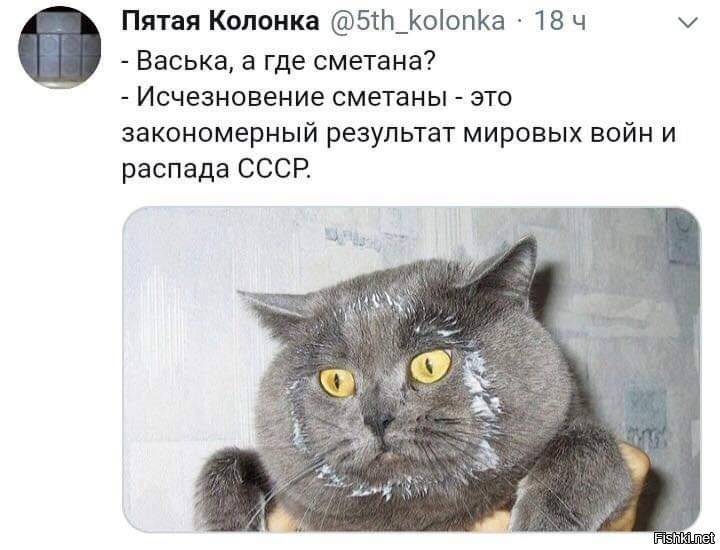 В тираже 🇷🇺 (@in_circulation) on Twitter photo 