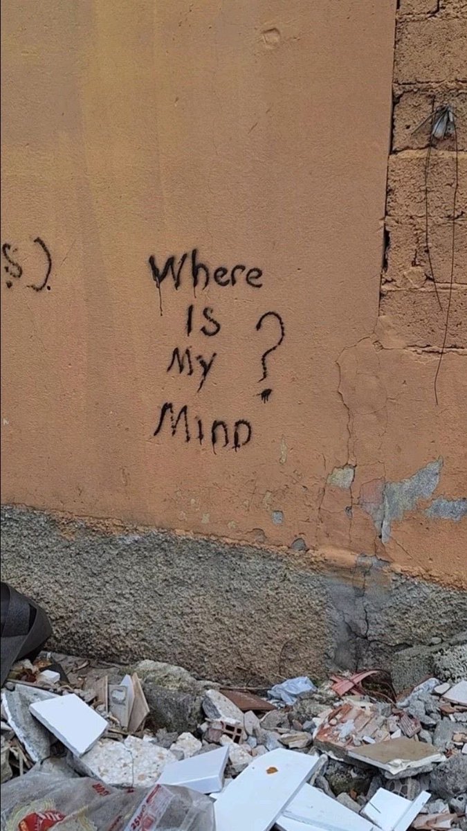 𝗚𝗘𝗡𝗘𝗥𝗔𝗧𝗜𝗢𝗡 𝗢𝗙 𝗦𝗖𝗔𝗥𝗦 tweet media