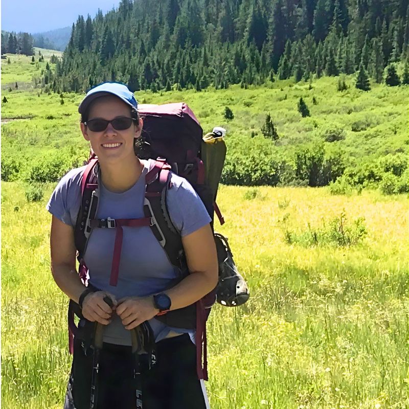 MicroHarmonics tweet media