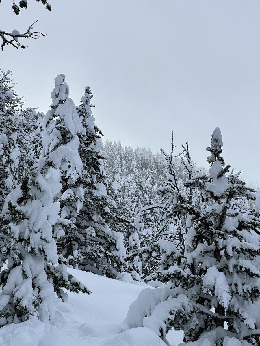 fansdeneu's tweet photo. Estat brutal de @port_aine 😍😍❄️❄️❄️ https://t.co/jswCXFnT18