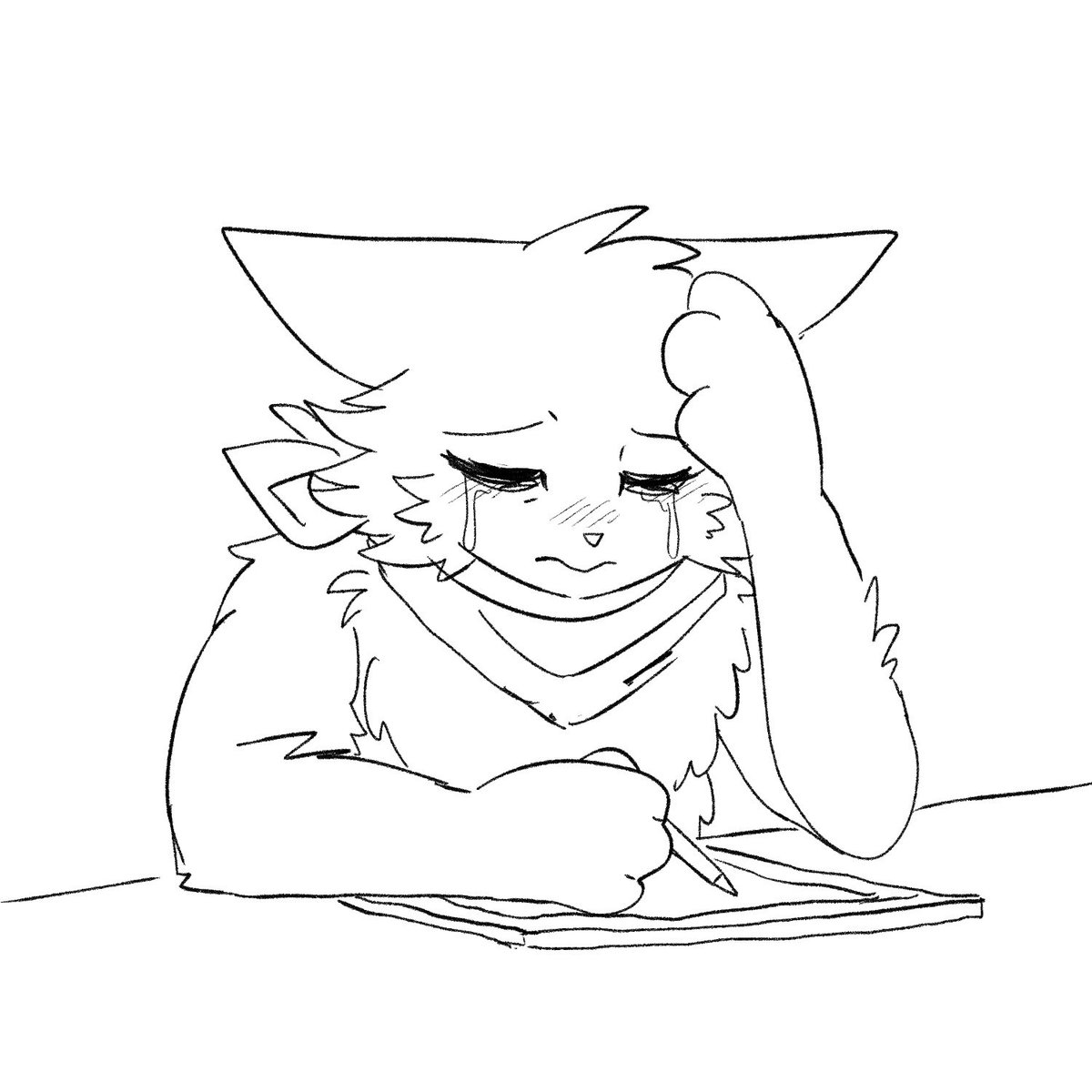 白雲🤍関けもF-20 (@ibaraneko3) on Twitter photo 