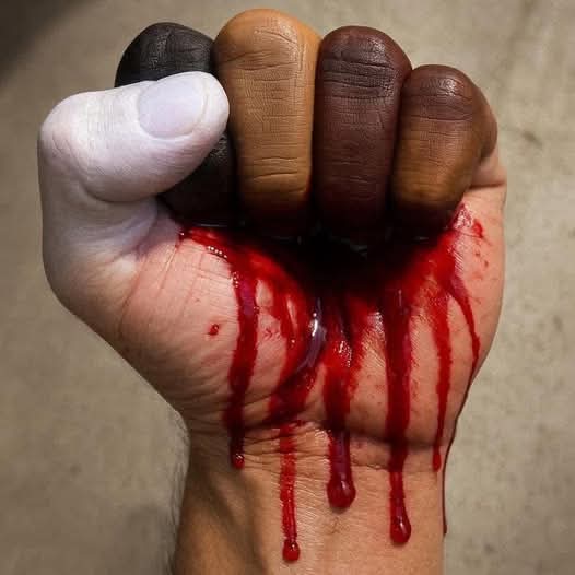 NativeAmericn_'s tweet image. We all bleed the same color. ❤️