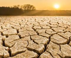 Thousands of farmers are committing suicide due to depletion in soil.

74% of the poor are directly affected by land degradation globally.

#Savesoil
Learn more at Savesoil.org