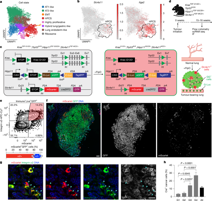 Waggoner Lab tweet media