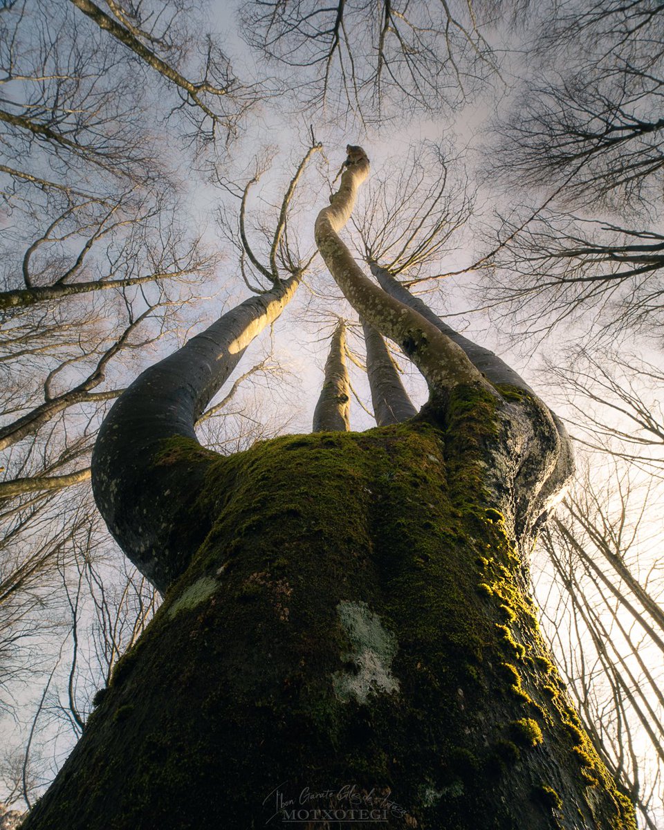 motxotegi's tweet image. Urkiolako Parke Naturala (2).