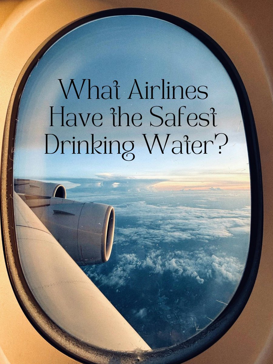 Travel Agent Mag tweet media