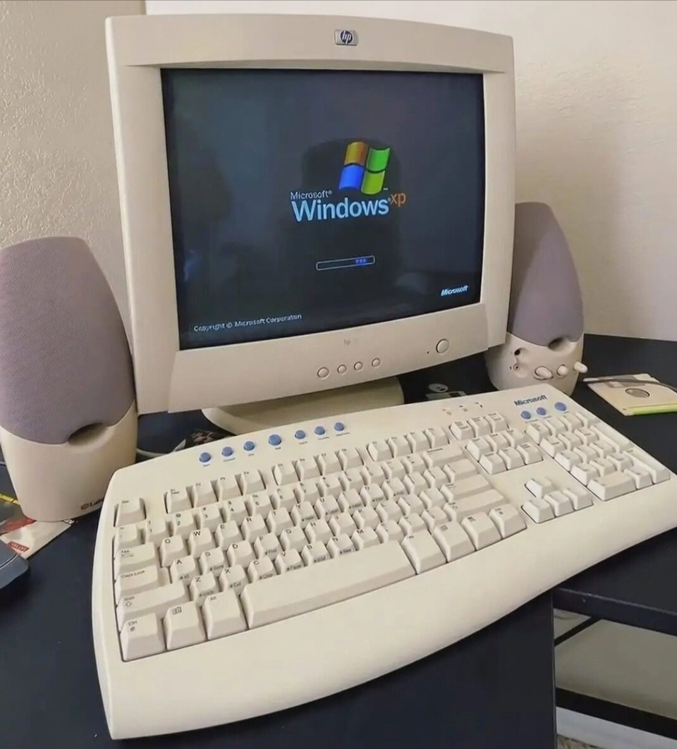 The Golden Days tweet media