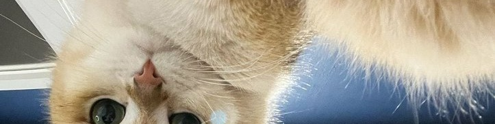 Aa7_Win's tweet photo. a closer look