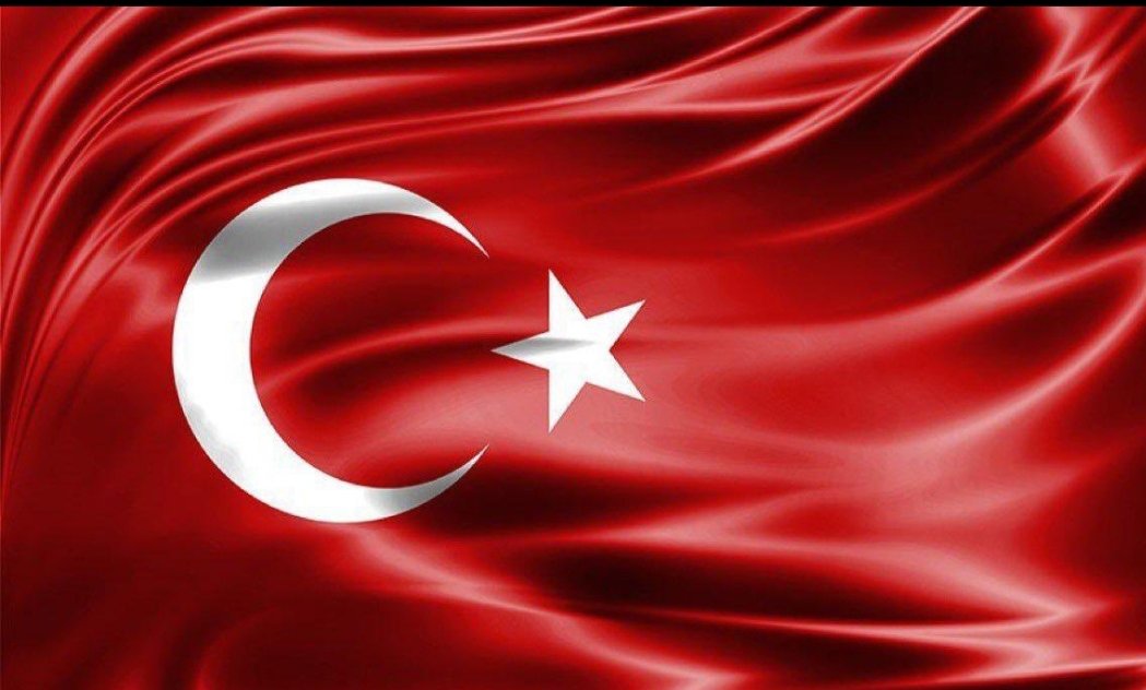 Ercan Sevisoglu tweet media