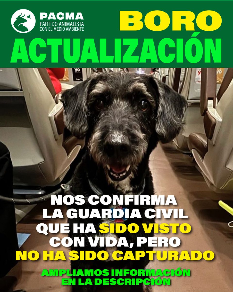Dadas las últimas informaciones que están apareciendo en prensa y redes sociales y que están generando gran confusión, desde PACMA queremos aclarar que estamos en contacto directo con Guardia Civil y representantes de la familia afectada, que solo atendemos la información que