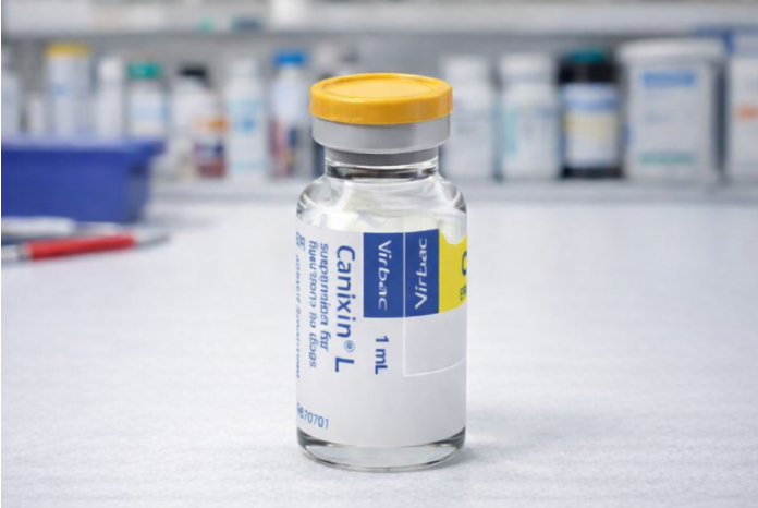 Virbac has launched a new L2 Leptospirosis vaccine for dogs: dlvr.it/TQTjlP

PS Don't forget to post any jobs for vet nurses on VetNurse, from where we share them on Facebook and Linkedin