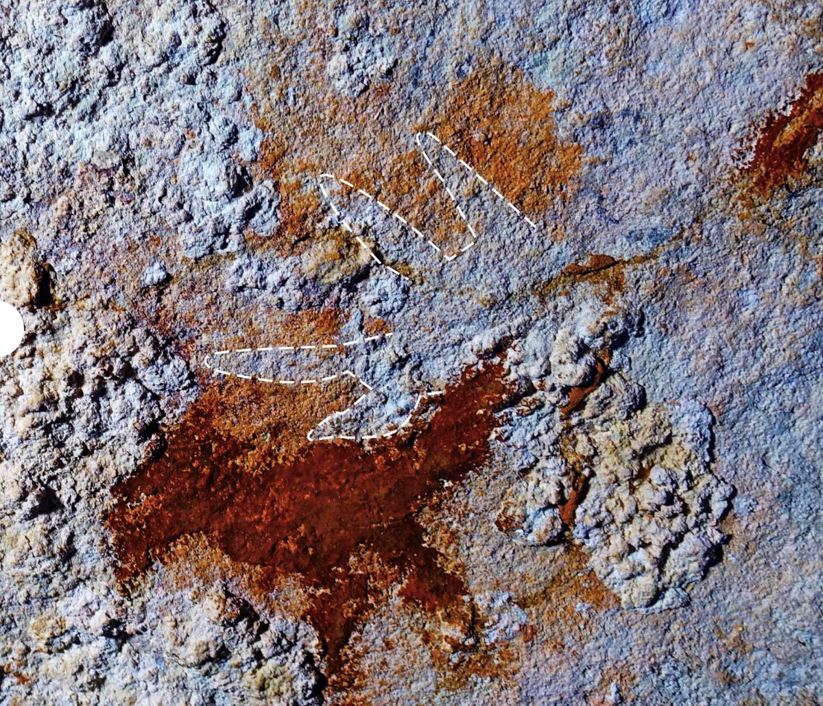 MichaelButtonX's tweet image. 🚨Scientists just found the world's oldest cave painting

The painting has been dated to at least 67,800 years ago, extending the human creativity timeline