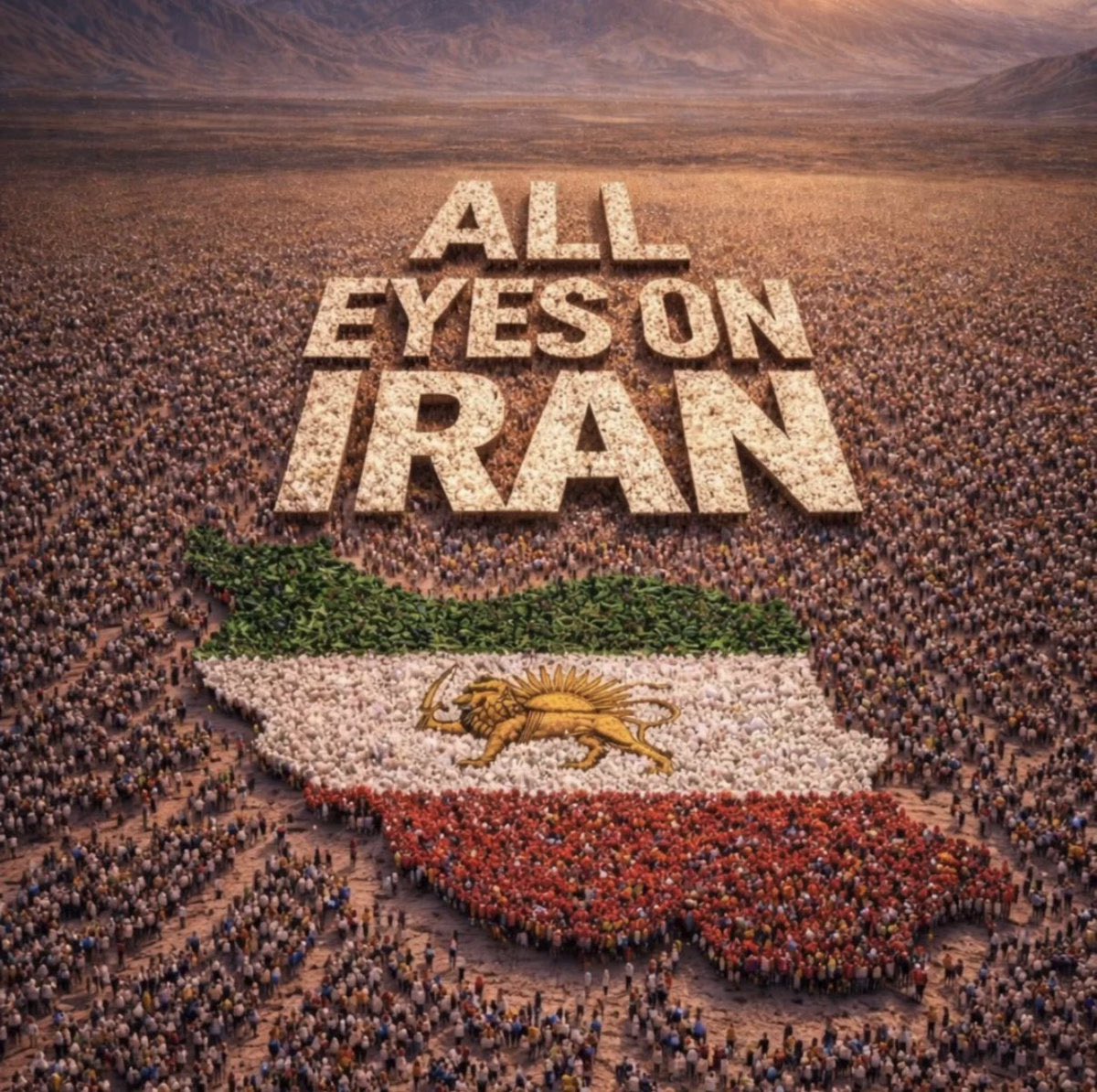 lucky owl🦉 tweet media