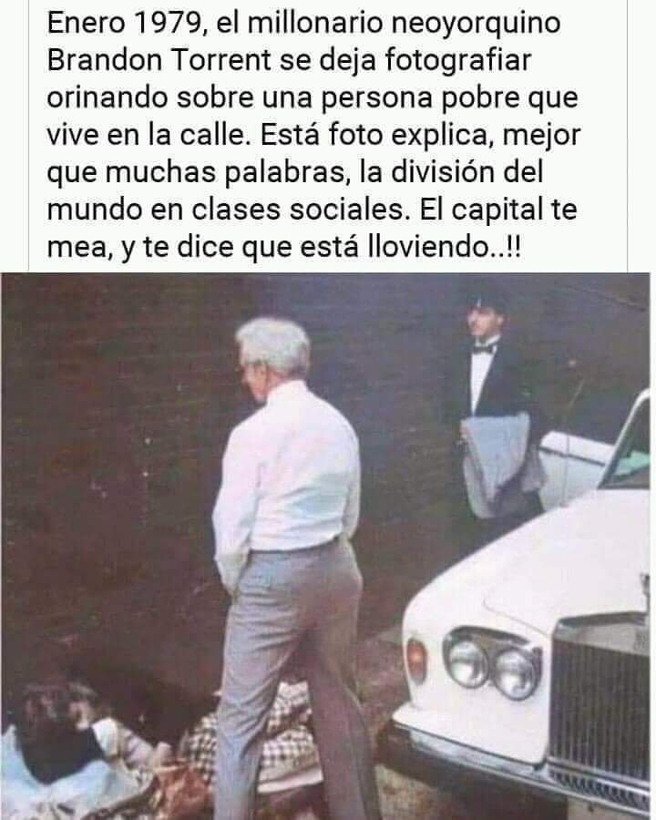 Pedra_Branca1's tweet image. Esto es más o menos lo que ocurre cuando le celebras a Salinas Pliego la ingeniosa frase de que la igualdad atenta contra la libertad.