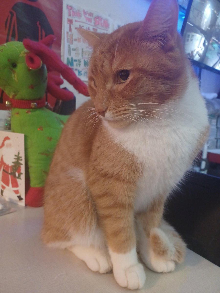 Unity Project tweet media