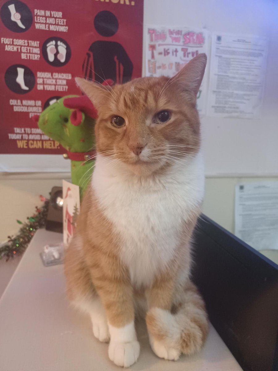 Unity Project tweet media