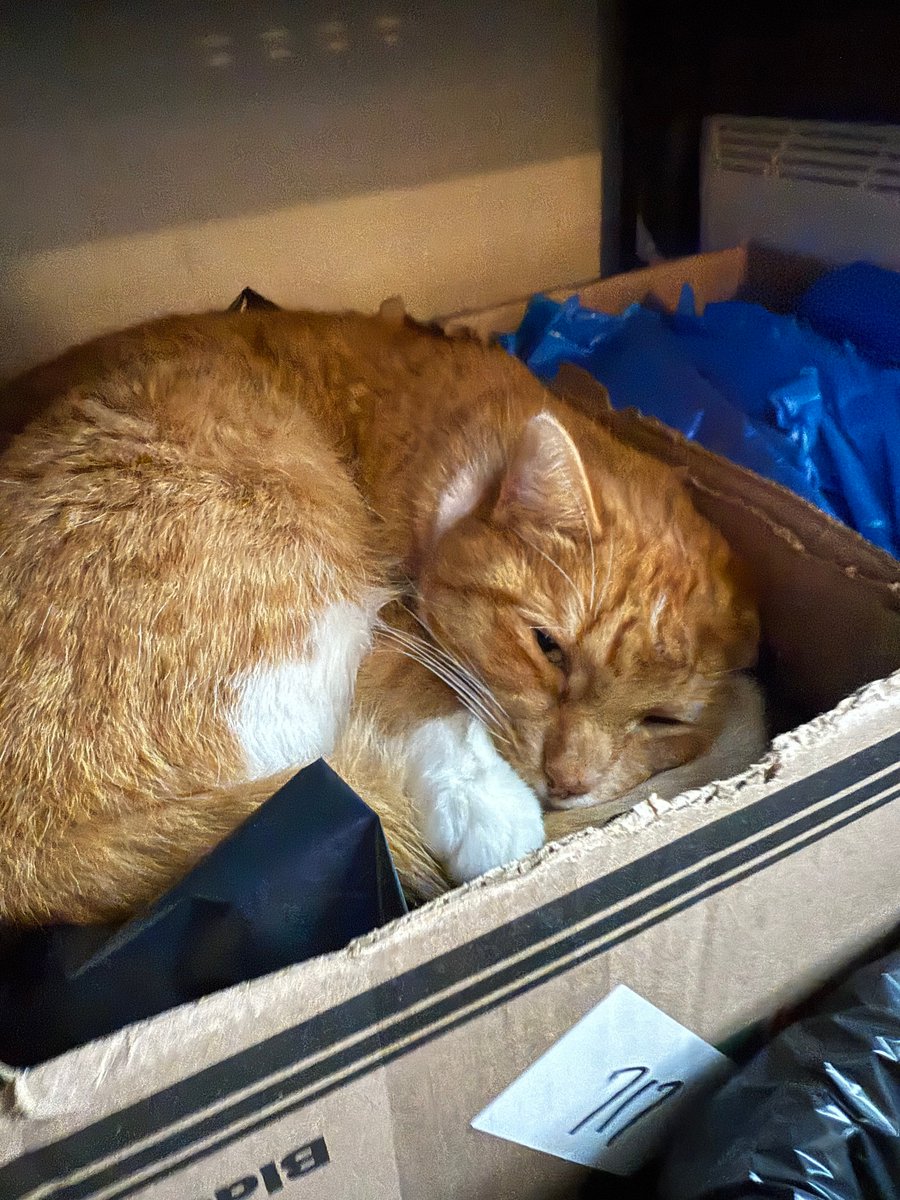 Unity Project tweet media