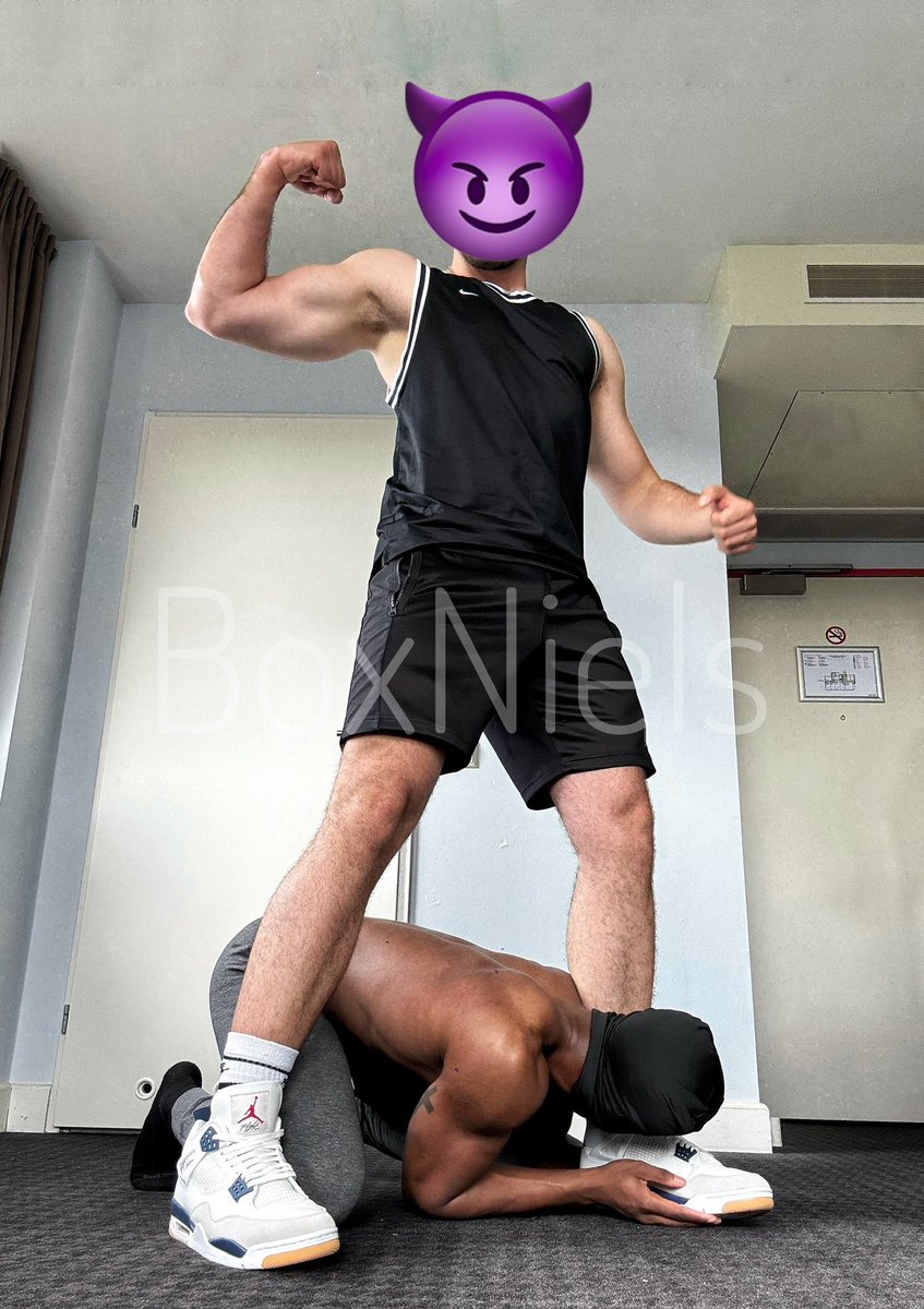 BoxNiels tweet media