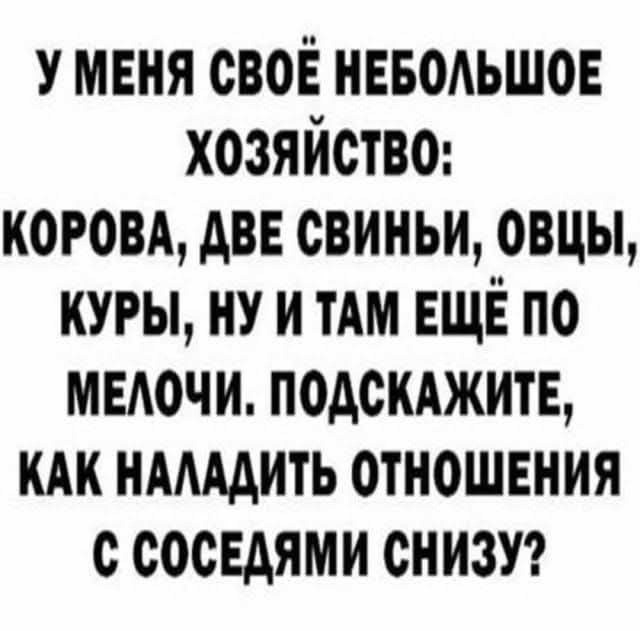 ptnhlo4vr's tweet image. 