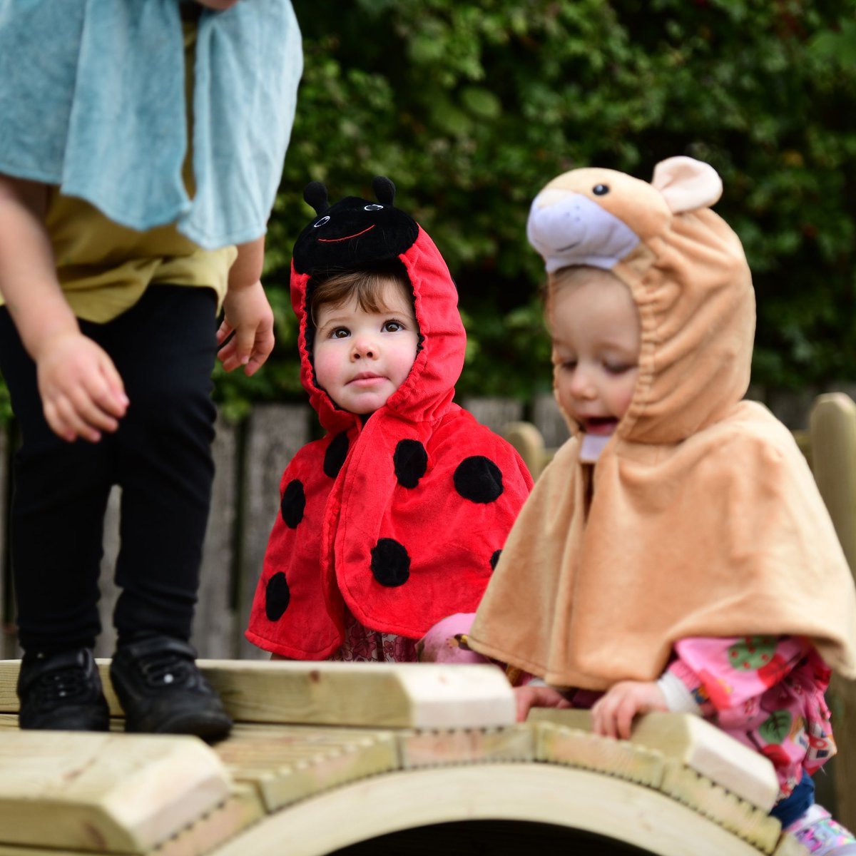 Early Excellence tweet media