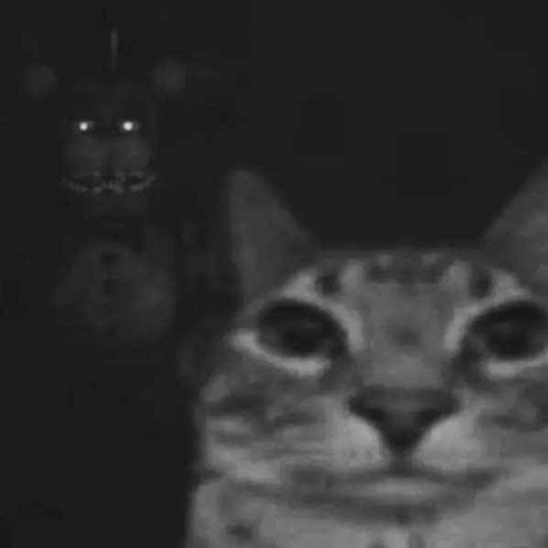 Goosesalesman tweet media