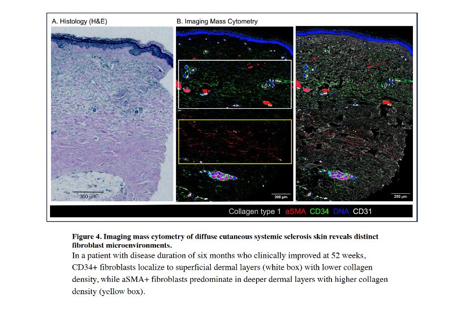 HSS Education Institute tweet media