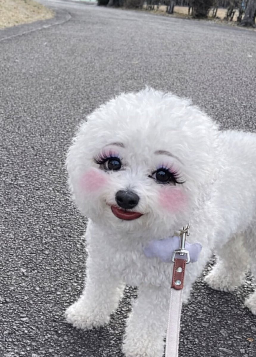 How strange it is to be anything at all