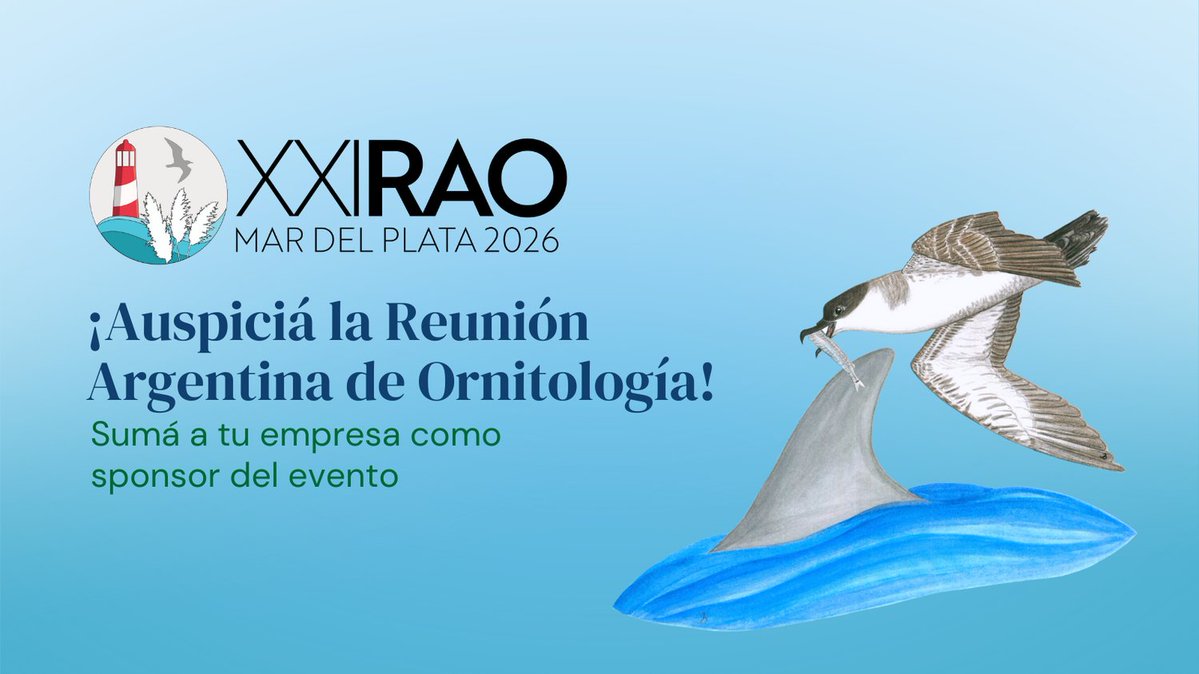 Buscamos auspiciantes para la Reunión Argentina de Ornitología.
Apoyar la #RAO es invertir en ciencia, educación y conservación: +50% de asistentes son estudiantes.
Auspiciá este evento clave para la biodiversidad.
🔗 rao.avesargentinas.org.ar/actual/sponsor…