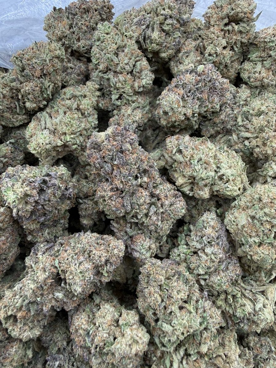 smackinplug's tweet image. LINK IN BIO📤
Weed Paris Weed Centre Weed Châtelet Weed Montmartre Weed Pigalle Weed Belleville Weed La Défense Weed Courbevoie Weed Boulogne-Billancourt Weed Issy-les-Moulineaux Weed Saint-Denis Weed Aubervilliers Weed Versailles Weed Saint-Germain-en-Laye Weed Marseille