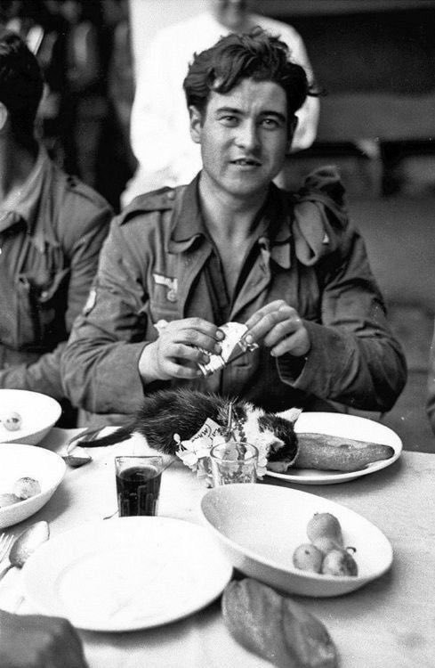 Die Kultur und Zivilisation einer Nation werden durch ihren Umgang mit Tieren bestimmt. Die Soldaten der ruhmreichen Wehrmacht hatten stets ein gutes Herz ❤
Teil II