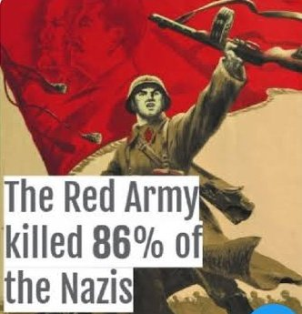 ✦✦✦ 𝙿𝚊𝚖𝚙𝚑𝚕𝚎𝚝𝚜 ✦✦✦ tweet media